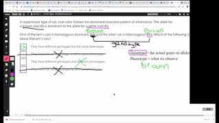 Worksheet Walkthrough: Mendelian Genetics Part 1 Net Worth