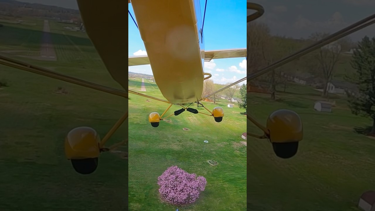 Wheel landing a tailwheel airplane #aviation #flying #aircraftpilot #pilot #pipercub #plane