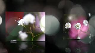 ☆PHOTO MOVEE ☆ ☆PHOTO MOVEE ☆