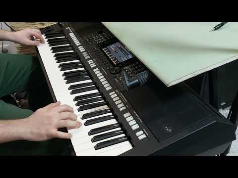 ЦЫГАНСКАЯ тавричанка ПОЛЬКА на синтезаторе YAMAHA PSR S775