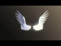 Angel / Bird Wings Final Version