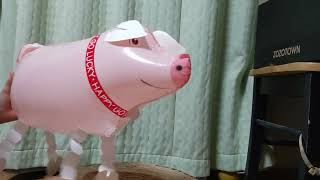 Mylar Balloon Pig Inflating And Popping