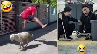 Try Not To Laugh I New Funny Clips I Comedy Video Part 1