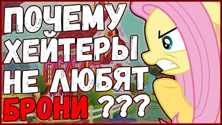 За что люди хейтят брони в фэндоме?