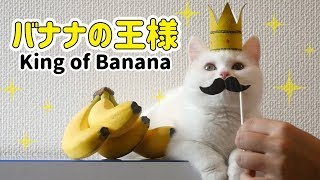 ポムさんとバナナの日