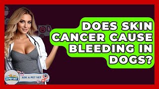 Does Skin Cancer Cause Bleeding In Dogs - Ask A Pet Vet