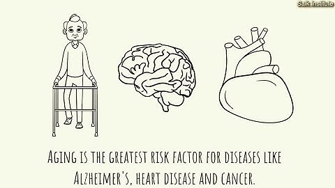 Cellular rejuvenation therapy Reverses Signs of Aging [via Salk] | Regenerative Medicine