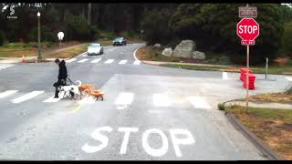 Crosswalk Demo: 940nm High-Resolution Global Shutter Flash Lidar with 200m Range