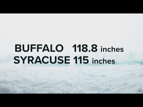 citycell Most Buffalo Story Of The Day