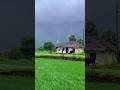 Summer vs Monsoon in Kollengode: A Natural Comparison