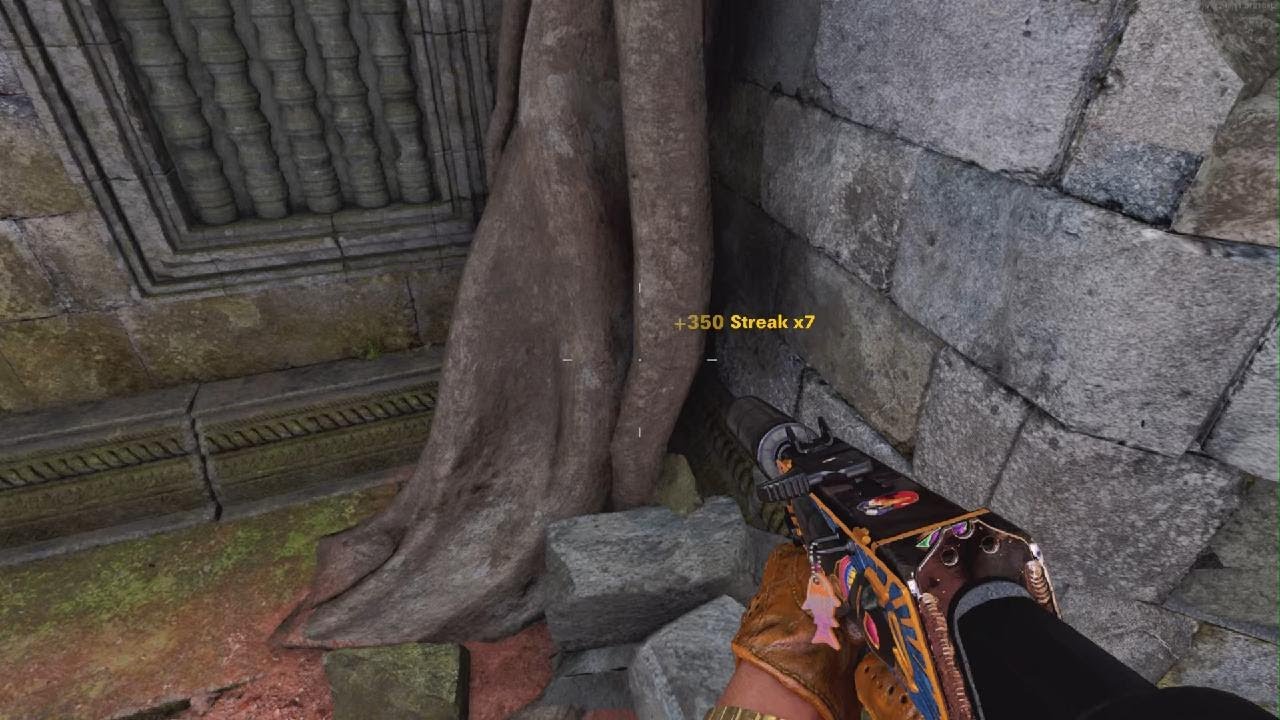 CoD: CW Best Play Determination 😼😎👍