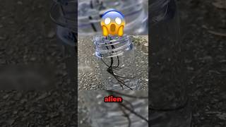 Scary Alien!! 😱🪱