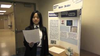 Science Expo - Water Strider