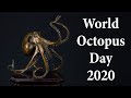 World Octopus Day 2020