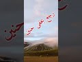 رجع بخفى حنين ما قصة هذه المقولة