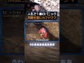 洞窟全面に張り付く数千匹のカマドウマに遭遇