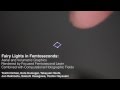 Fairy Lights in Femtoseconds (short abstract)