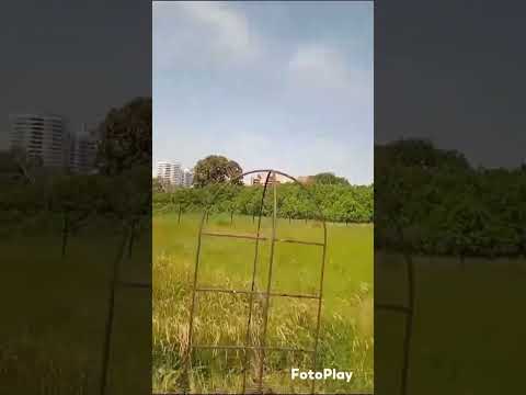 Самара