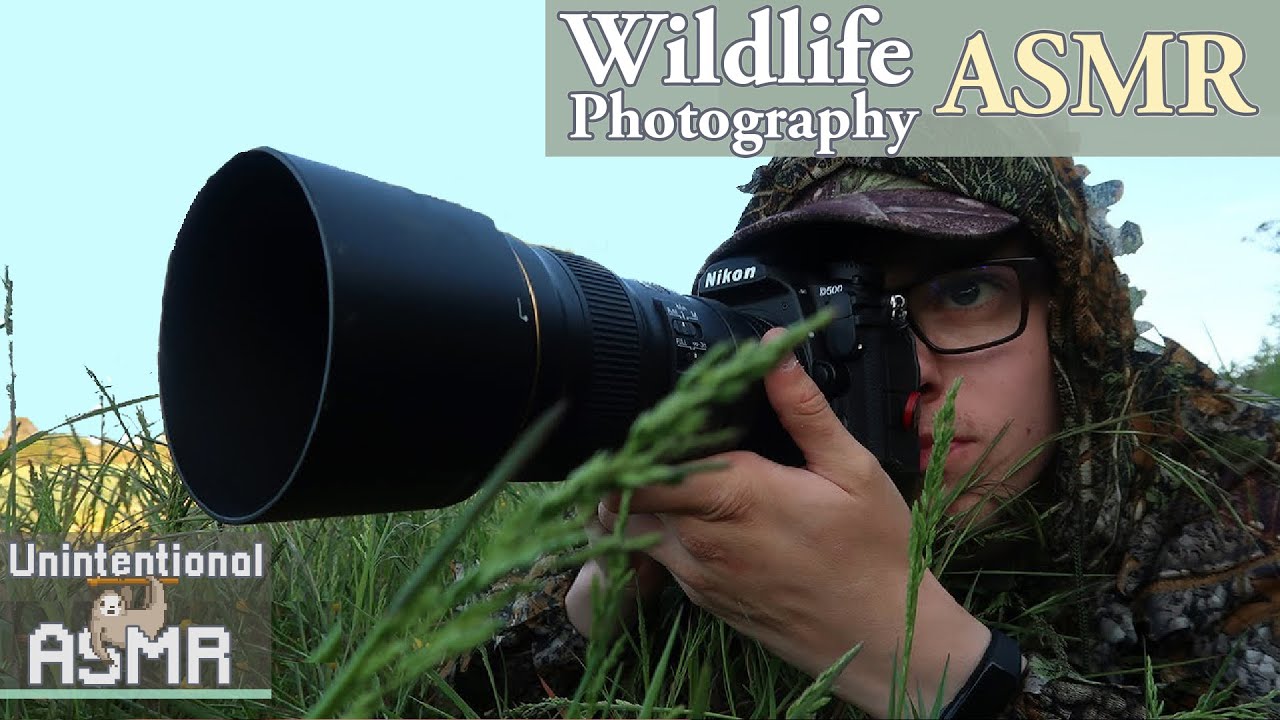 Unintentional ASMR 📷🐦 Enthusiastic Young Wildlife Photographer (Great Whispering & Nature Sounds)