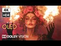 The Craziest Dolby Vision Experience in 4K HDR | Ultra HD 120FPS Demo