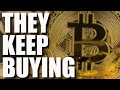 Schools Buying Bitcoin, PayPal Bitcoin, Should Have Bought Bitcoin &amp; I Hate Telephones