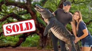 We Bought Our Dream Property To Start An Alligator Sanctuary!