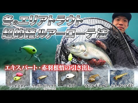 【エリアトラウトを簡単に釣る】赤羽根 悟さんに直撃！ルアーローテの考え方