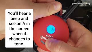 How To Set Up A Micro Educator Ecollar - My Personal Preference | Dog Training Jersey City