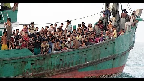 O que os imigrantes buscam no Brasil?