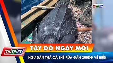 Ngư dân thả cá thể Rùa gần 200kg về biển | Cần Thơ TV