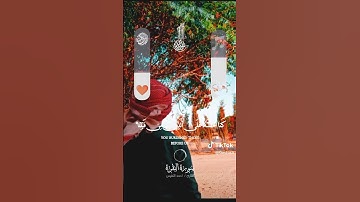 أواخر سورة البقرة بصوت خاشع تبارك الرحمان 🌴🕋♥️