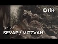SEVAP MITZVAH Official Trailer TJFF 2024 SEVAP MITZVAH Official Trailer TJFF 2024