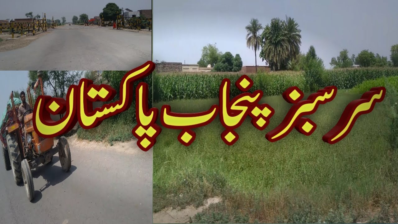 Vlogs|| Daily Life In Punjab PAKISTAN || Rural Life ||        13 May 2020