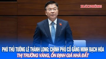 Phó Thủ tướng Lê Thành Long: Chính phủ cố gắng minh bạch hóa thị trường vàng, ổn định giá nhà đất