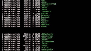 Linux basics in command line, How to use (Part II .2 of .3)(t00)