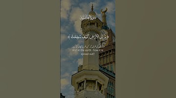 تلاوات عذبة لآيات من القرآن الكريم سيرة الغاشية #تلاوة_خاشعة #اكسبلور