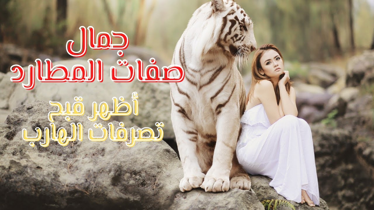 ❤️جمال المطارد ❤️اظهر قبح تصرفات الهارب🔥 #توأم_الشعلة #Twin_flame