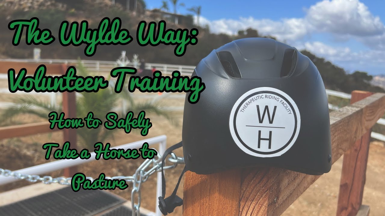 The Wylde Way: How to Safely Take Our Horses to Pasture | Volunteer Training