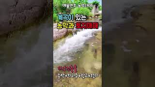 강원도 횡성부동산 계곡과농막 횡성토지매매 [강원도 횡성군 청일면부동산] #횡성계곡땅 #shorts