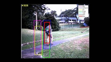 Onboard Robust Visual Tracking for UAVs Using a Reliable Global Local Object Model