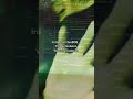 LVBEL C5 X ORGANİZE DRİLL KİMSENİN BİLMEDİĞİ ŞARKI 😂