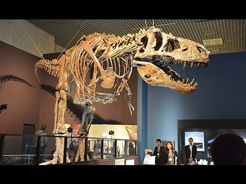 国立科学博物館｢恐竜博2016｣=肉食恐竜スピノサウルス､復元骨格日本初公開