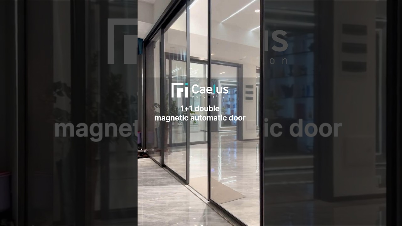 1+1 double magnetic automatic door
