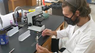 Direct & Indirect Staining