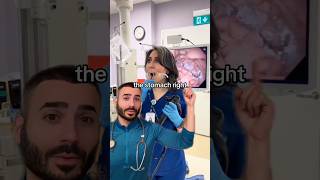 Your Stomach Looks Like This - Doctor Explains