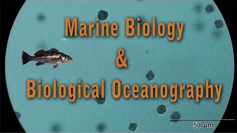 Interested in marine biology and oceanography?