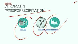 Introduction of Diagenode   #rna-seq #chip-seq #ATAC-seq