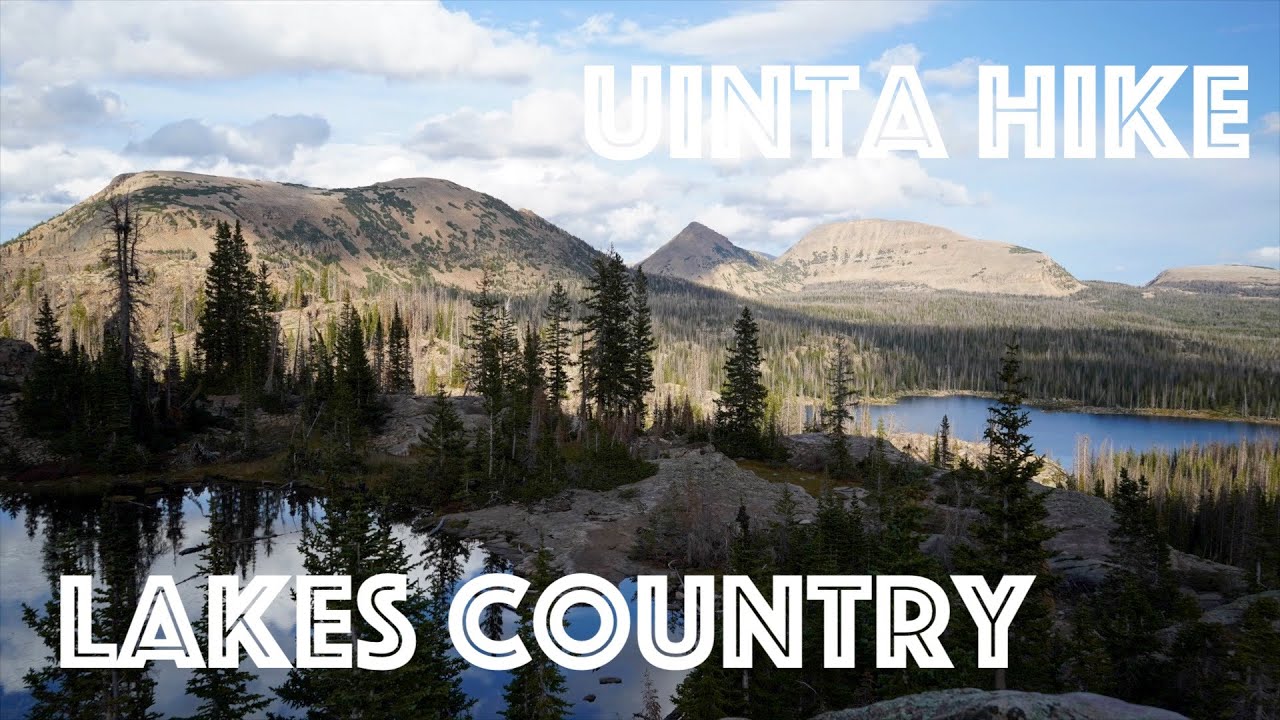 Can you name the 3 most common conifers in the High Uintas? Lakes Country Trail Hike to Clyde Lake