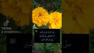 Download Lagu SELAWAT NURIL MUBIN MP3 Download Lagu SELAWAT NURIL MUBIN MP3