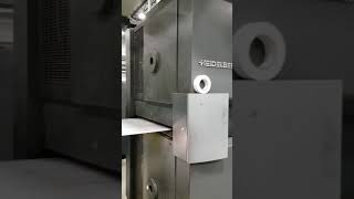 Heidelberg M 600-B24 Press System - Available Now!